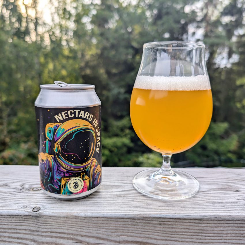 Nectars In Space Bustad Brewing