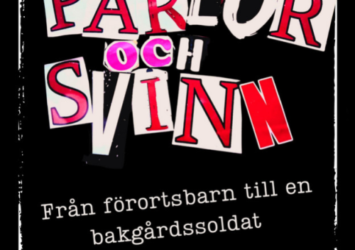 Från förortsbarn till en bakgårdssoldat - Pärlor och Svinn